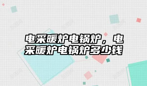 電采暖爐電鍋爐，電采暖爐電鍋爐多少錢(qián)