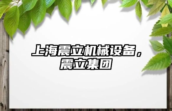 上海震立機械設備，震立集團