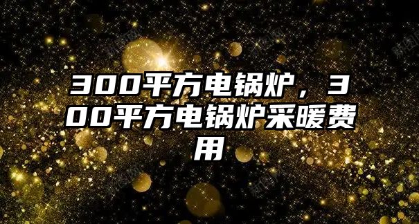 300平方電鍋爐，300平方電鍋爐采暖費用