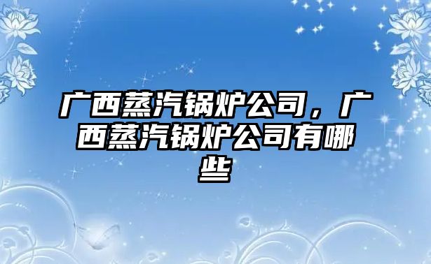 廣西蒸汽鍋爐公司，廣西蒸汽鍋爐公司有哪些