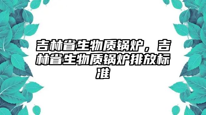 吉林省生物質鍋爐，吉林省生物質鍋爐排放標準