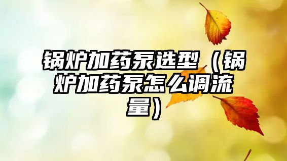 鍋爐加藥泵選型（鍋爐加藥泵怎么調(diào)流量）