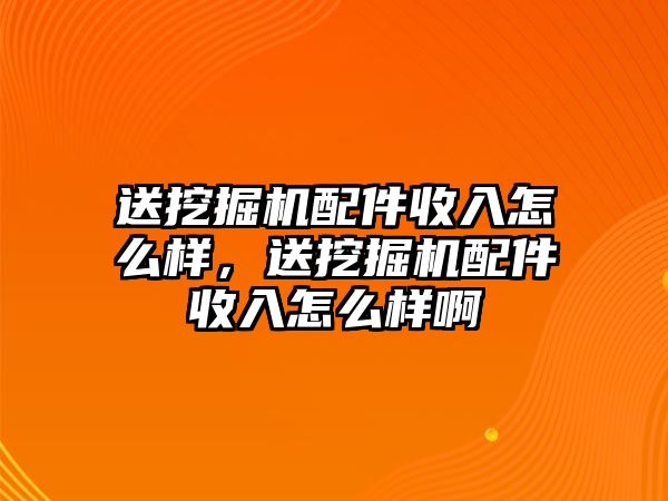 送挖掘機配件收入怎么樣，送挖掘機配件收入怎么樣啊