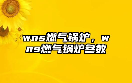 wns燃氣鍋爐，wns燃氣鍋爐參數(shù)