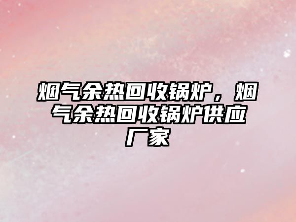 煙氣余熱回收鍋爐，煙氣余熱回收鍋爐供應廠家