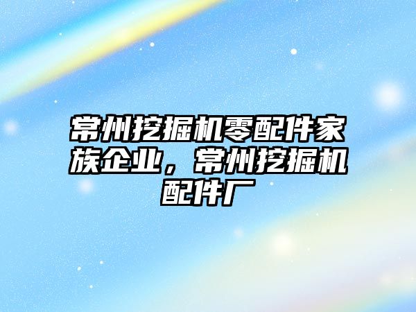 常州挖掘機零配件家族企業(yè)，常州挖掘機配件廠