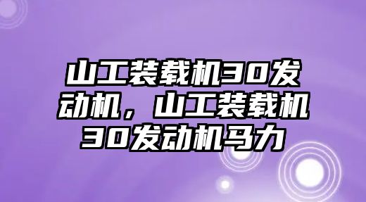 山工裝載機30發動機，山工裝載機30發動機馬力