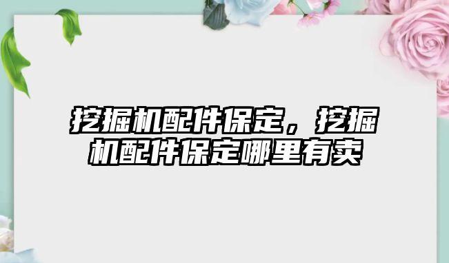 挖掘機配件保定，挖掘機配件保定哪里有賣