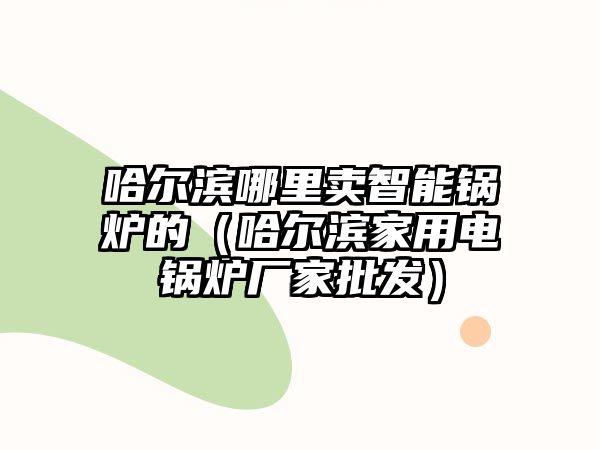 哈爾濱哪里賣智能鍋爐的（哈爾濱家用電鍋爐廠家批發）