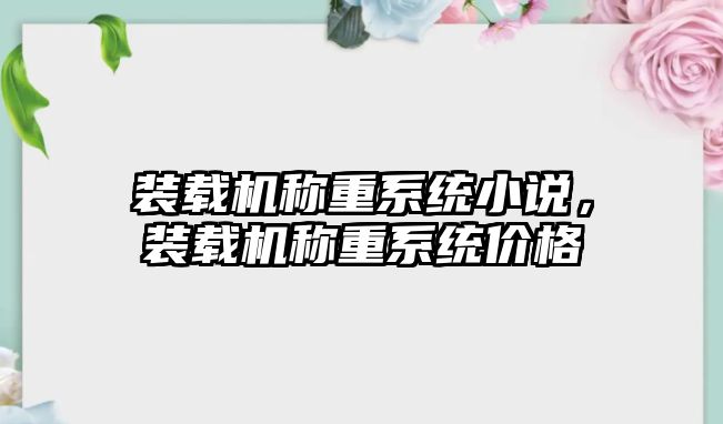 裝載機稱重系統小說，裝載機稱重系統價格