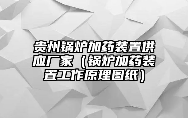 貴州鍋爐加藥裝置供應廠家（鍋爐加藥裝置工作原理圖紙）