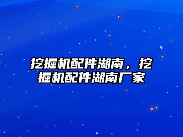 挖掘機配件湖南，挖掘機配件湖南廠家