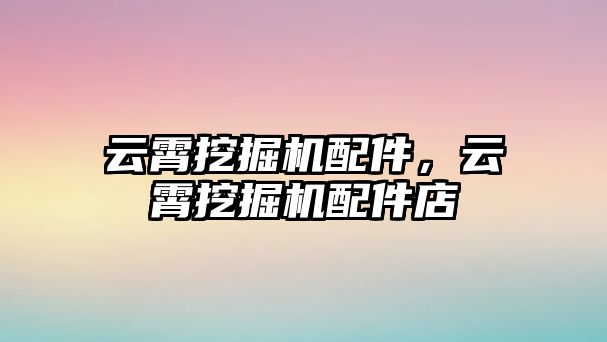 云霄挖掘機配件，云霄挖掘機配件店