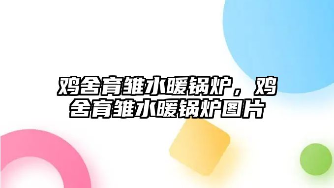 雞舍育雛水暖鍋爐，雞舍育雛水暖鍋爐圖片