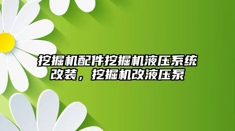 挖掘機配件挖掘機液壓系統(tǒng)改裝，挖掘機改液壓泵