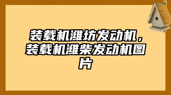 裝載機濰坊發(fā)動機，裝載機濰柴發(fā)動機圖片