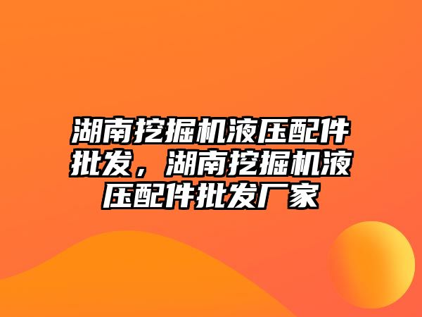 湖南挖掘機液壓配件批發，湖南挖掘機液壓配件批發廠家