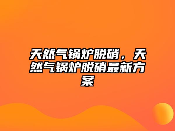 天然氣鍋爐脫硝，天然氣鍋爐脫硝最新方案