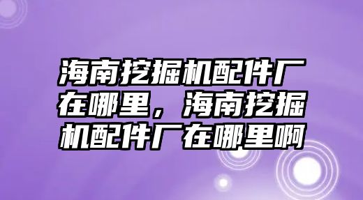 海南挖掘機(jī)配件廠在哪里，海南挖掘機(jī)配件廠在哪里啊