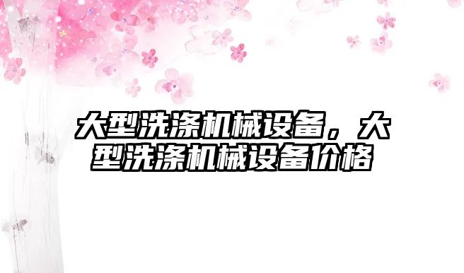 大型洗滌機械設備，大型洗滌機械設備價格