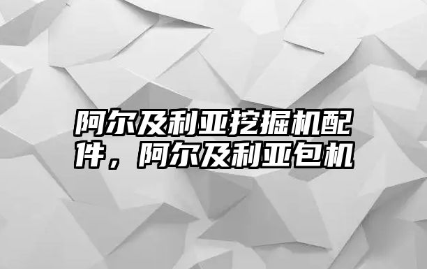 阿爾及利亞挖掘機配件，阿爾及利亞包機