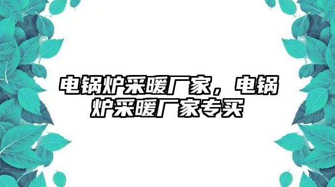 電鍋爐采暖廠家，電鍋爐采暖廠家專買