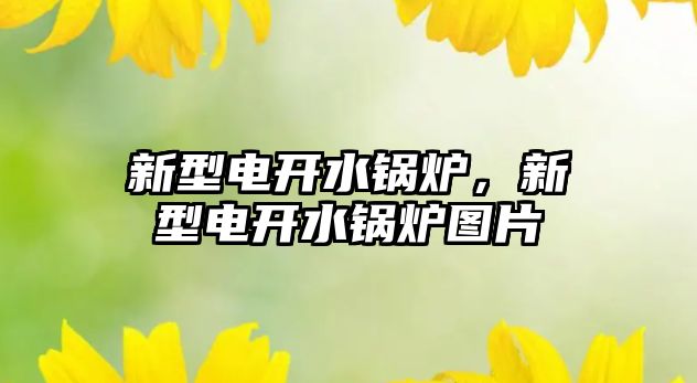 新型電開水鍋爐，新型電開水鍋爐圖片