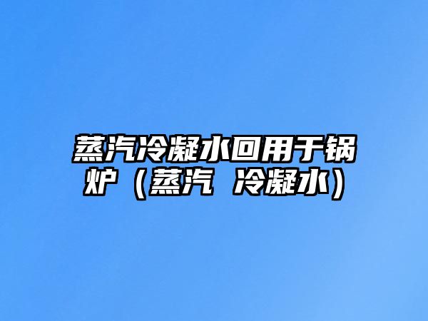 蒸汽冷凝水回用于鍋爐（蒸汽 冷凝水）