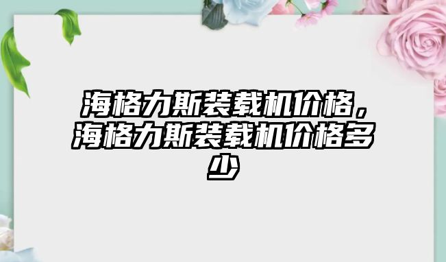 海格力斯裝載機(jī)價(jià)格，海格力斯裝載機(jī)價(jià)格多少