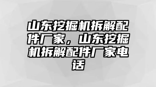 山東挖掘機拆解配件廠家，山東挖掘機拆解配件廠家電話