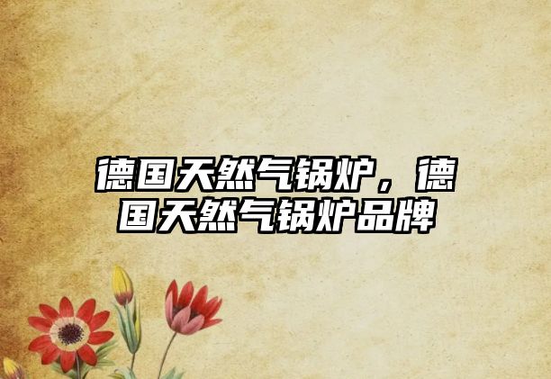 德國(guó)天然氣鍋爐，德國(guó)天然氣鍋爐品牌