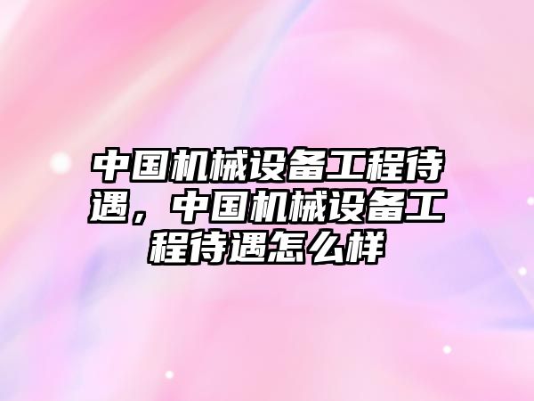 中國機械設備工程待遇，中國機械設備工程待遇怎么樣