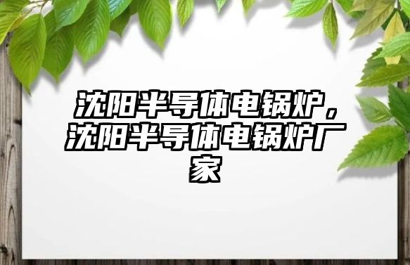 沈陽半導體電鍋爐，沈陽半導體電鍋爐廠家