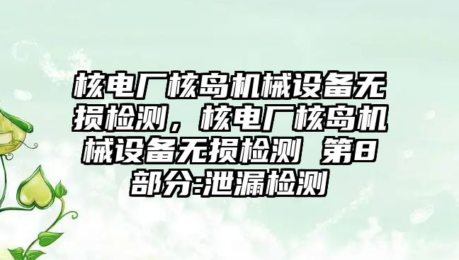 核電廠核島機械設備無損檢測，核電廠核島機械設備無損檢測 第8部分:泄漏檢測