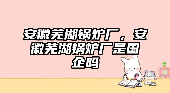 安徽蕪湖鍋爐廠，安徽蕪湖鍋爐廠是國企嗎