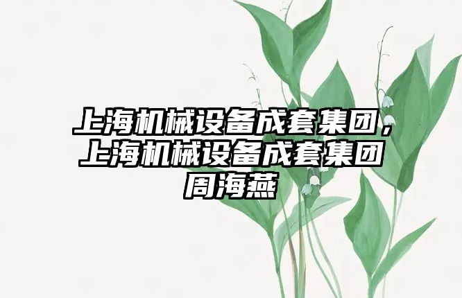 上海機械設備成套集團，上海機械設備成套集團周海燕