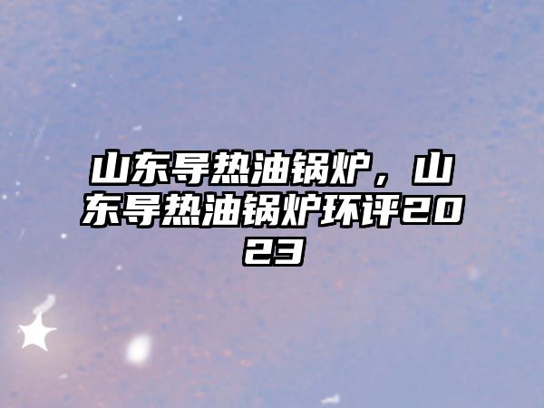 山東導熱油鍋爐，山東導熱油鍋爐環評2023