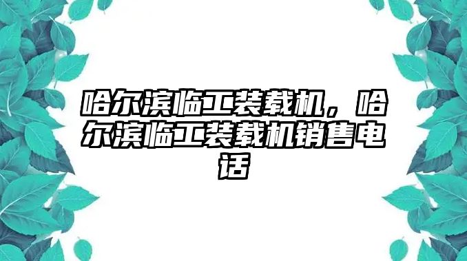 哈爾濱臨工裝載機，哈爾濱臨工裝載機銷售電話