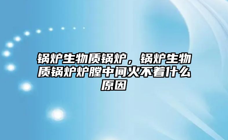 鍋爐生物質鍋爐，鍋爐生物質鍋爐爐膛中間火不著什么原因