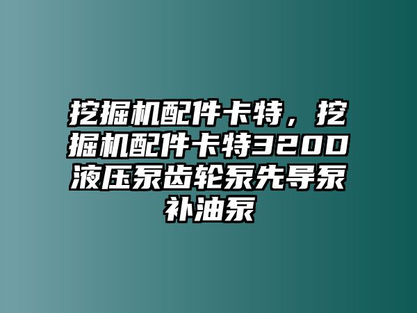 挖掘機(jī)配件卡特，挖掘機(jī)配件卡特320D液壓泵齒輪泵先導(dǎo)泵補(bǔ)油泵