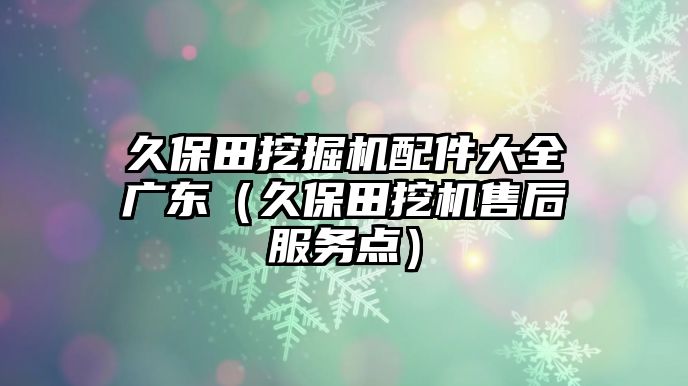 久保田挖掘機配件大全廣東（久保田挖機售后服務點）