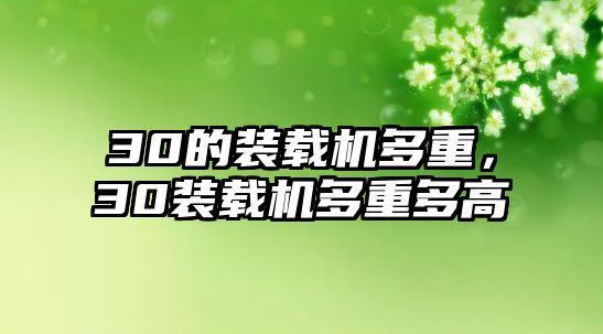 30的裝載機(jī)多重，30裝載機(jī)多重多高