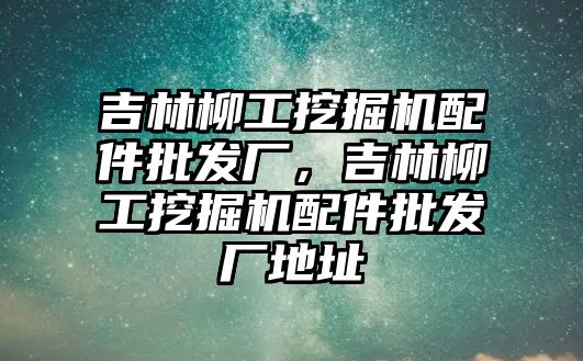 吉林柳工挖掘機配件批發廠，吉林柳工挖掘機配件批發廠地址