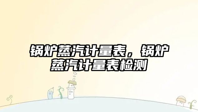 鍋爐蒸汽計量表，鍋爐蒸汽計量表檢測