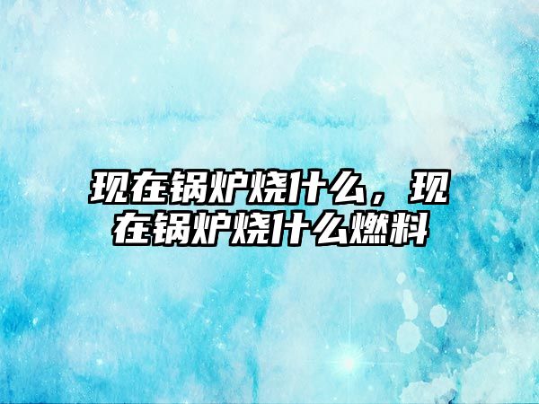 現(xiàn)在鍋爐燒什么，現(xiàn)在鍋爐燒什么燃料