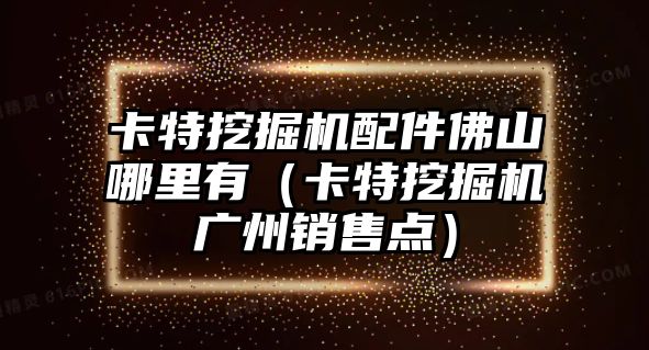 卡特挖掘機配件佛山哪里有（卡特挖掘機廣州銷售點）