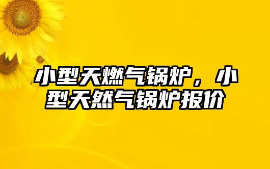 小型天燃?xì)忮仩t，小型天然氣鍋爐報價