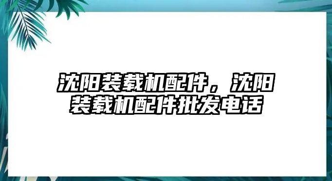 沈陽裝載機配件，沈陽裝載機配件批發電話