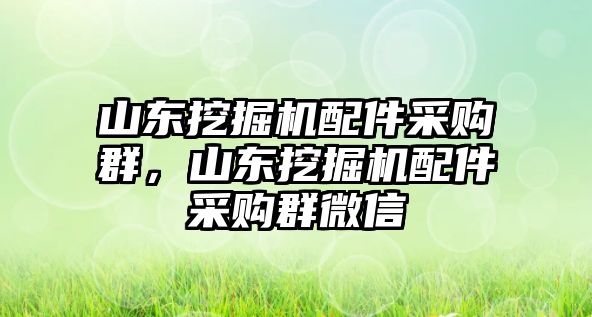 山東挖掘機配件采購群，山東挖掘機配件采購群微信