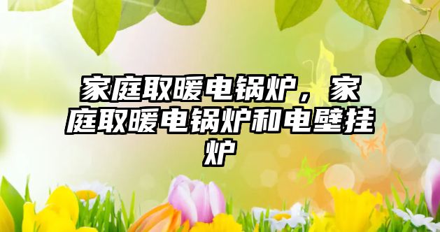 家庭取暖電鍋爐，家庭取暖電鍋爐和電壁掛爐